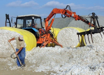 Əsas ixracatçı şirkətlər siyahısında “MKT İstehsalat Kommersiya” MMC-nin də adı var.