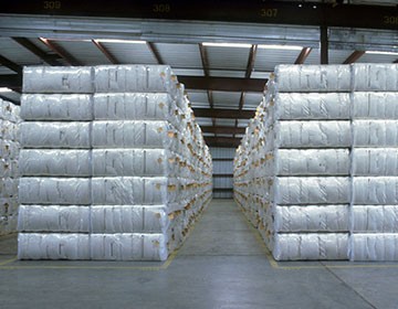 The procedure for storage of raw cotton